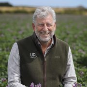 Wet summer sees increase in potato blight outbreaks