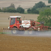 ‘Huge rise’ in blackgrass levels reported on UK farms