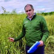 Late-drilled rape can still be profitable
