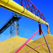 Harvest data review reveals best-performing varieties