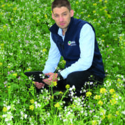 How to choose SFI options that fit your farm