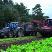 Bitter sugar dispute ‘could be resolved by government’