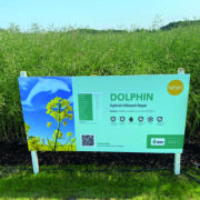 How ‘powerful pods’ protect rape yields