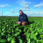 Liquid fertiliser: why more growers plan to switch