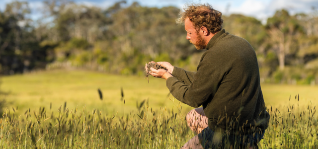 New improved SFI offer is broader and more flexible