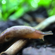 Target slugs early in challenging season