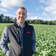 Potassium tops nutrient deficiency in East Anglia cereal crops