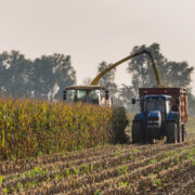 Warning over renewable energy from peat maize