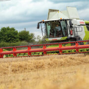 Bumper crop of varieties make debut