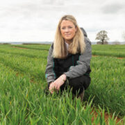 High yield underlines strong year for winter wheat variety