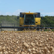 Tool makes it easier to select alternative crops