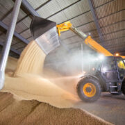 ‘Key milestone’ for digital passports