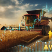 Why attention to detail gets most from cereals