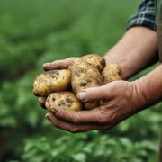 Biox-M helps in a challenging storage season