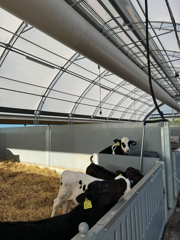 Net zero beef ‘now a reality’ – Anglia Farmer Magazine