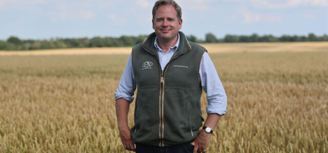 How good storage can uphold grain quality