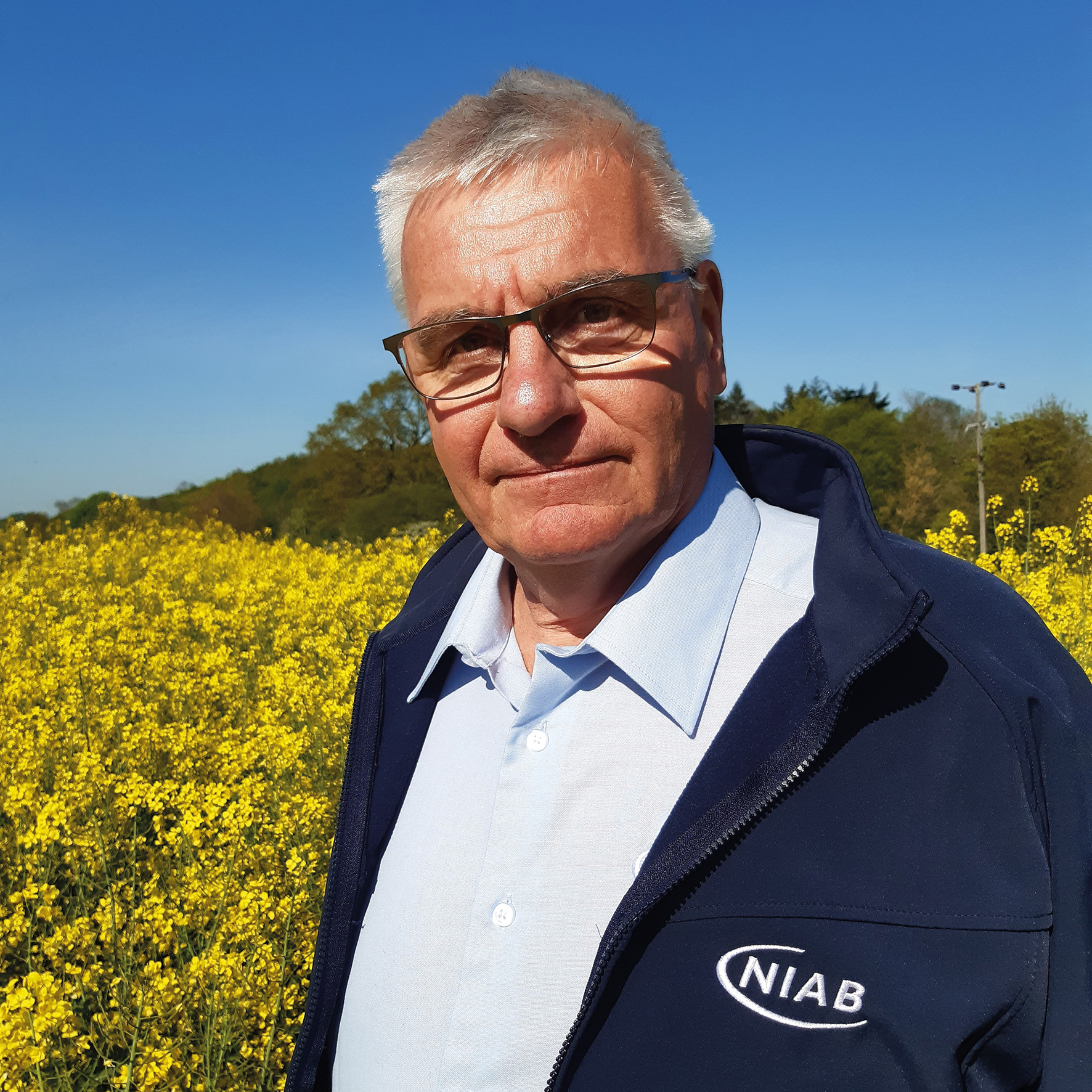 Colin Raper Confidence renewed for oilseed rape – Anglia Farmer Magazine