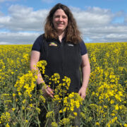 Optimism for oilseed rape in latest survey results