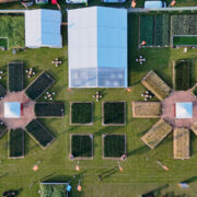 New KWS varieties could take 25% of winter wheat area