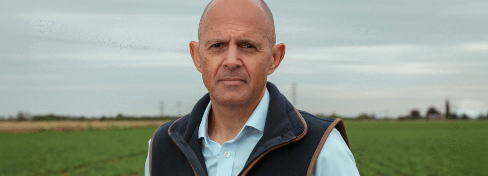 ‘Options available for profitable sugar beet’