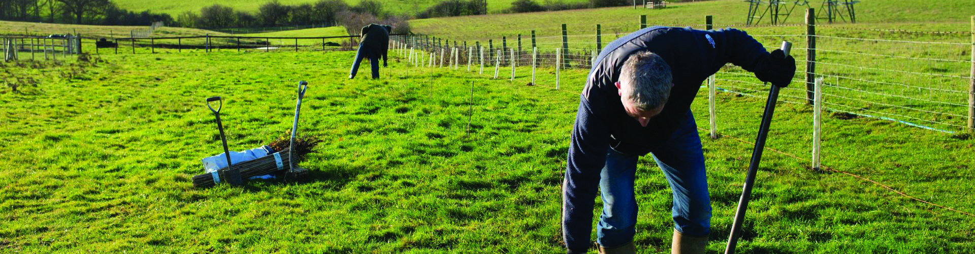 Farmers reach landmark tree-planting milestone