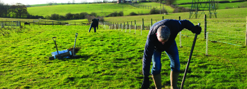 Farmers reach landmark tree-planting milestone