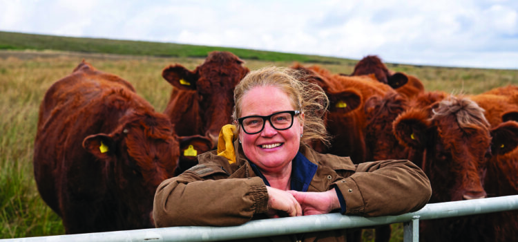 Water concerns limit UK food production