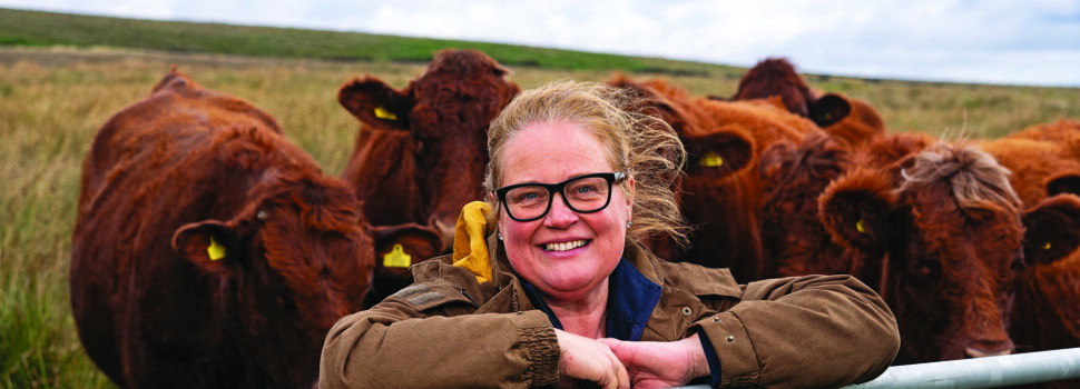 Water concerns limit UK food production