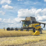 UK cereal harvest is ‘variable at best’