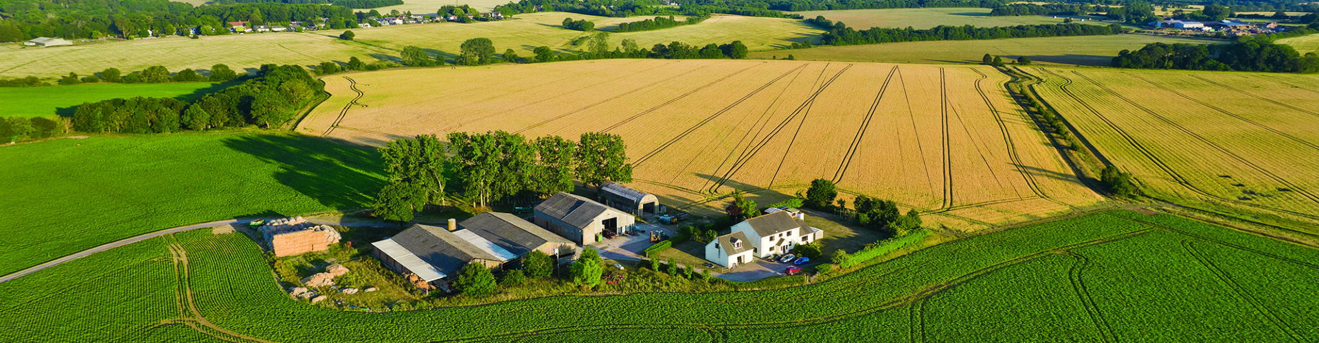 ‘Big variation’ in farmland prices
