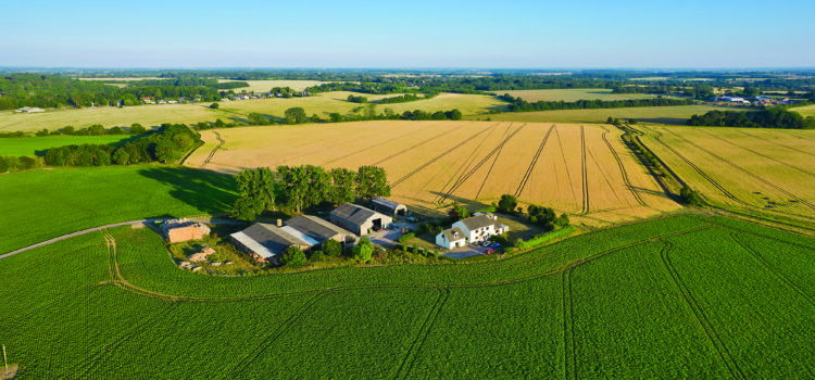 ‘Big variation’ in farmland prices