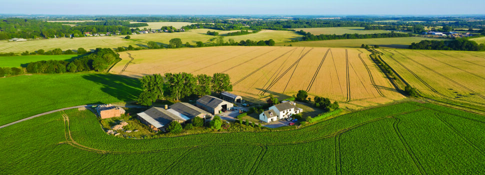‘Big variation’ in farmland prices