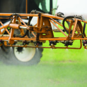 Focus on glyphosate efficacy for pre-drilling weed control