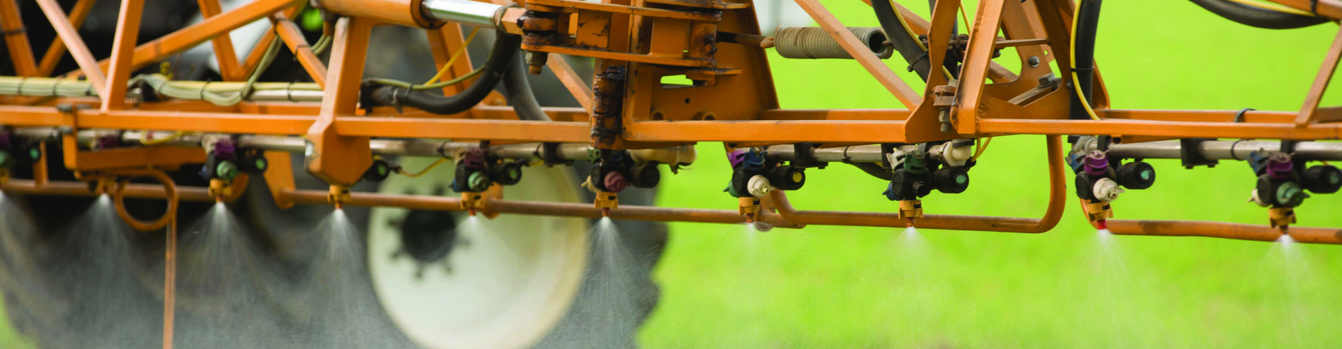 Focus on glyphosate efficacy for pre-drilling weed control