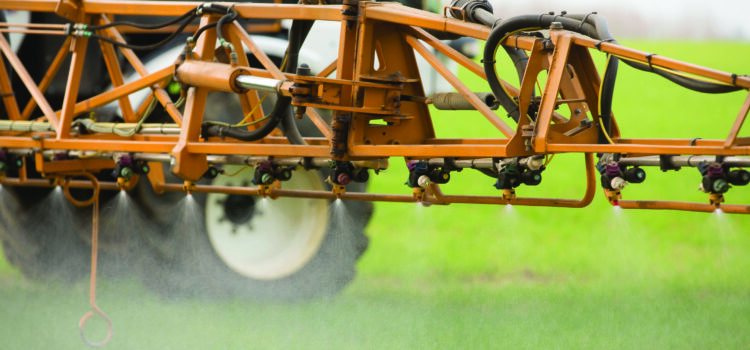 Focus on glyphosate efficacy for pre-drilling weed control
