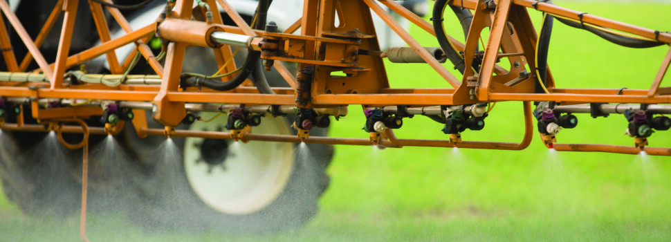 Focus on glyphosate efficacy for pre-drilling weed control
