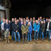 Emissions from wheat ‘can be halved’