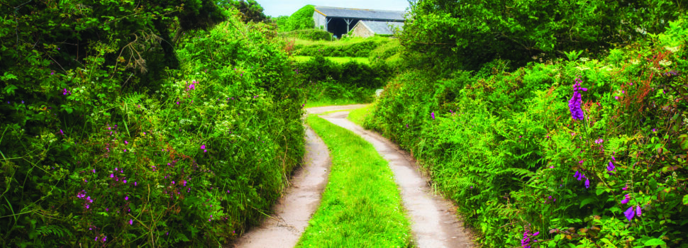 £150m in capital grants allocated in one month