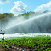 NFU pressure sees abstraction resume