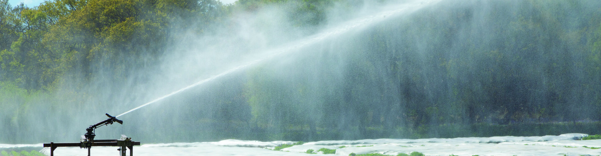 NFU pressure sees abstraction resume