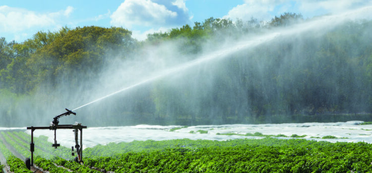 NFU pressure sees abstraction resume