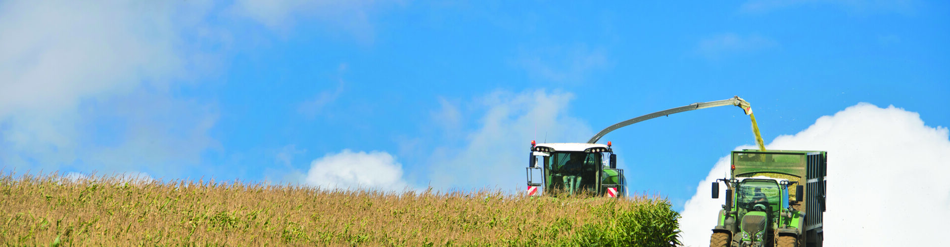 Treat tricky maize harvest with care