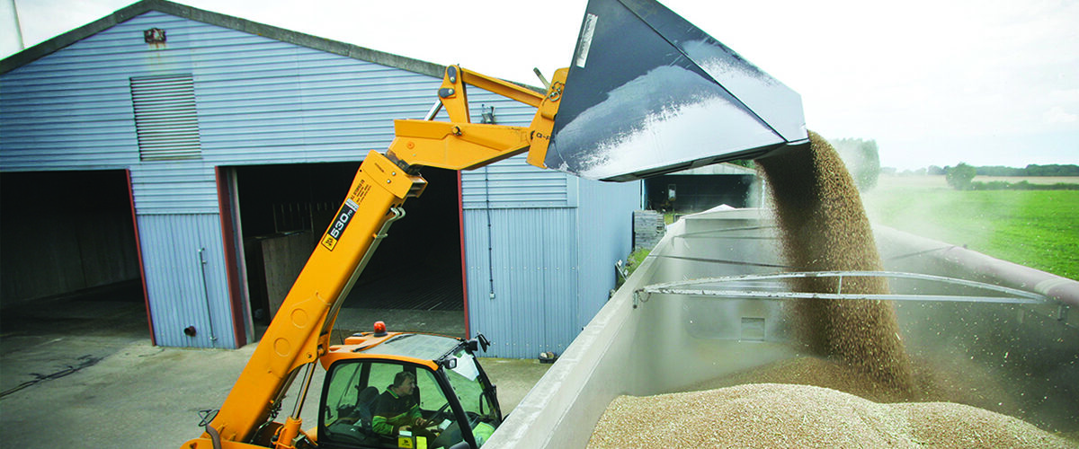 Growers sell wheat forward amid market uncertainty