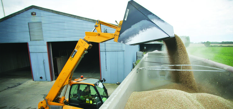 Growers sell wheat forward amid market uncertainty