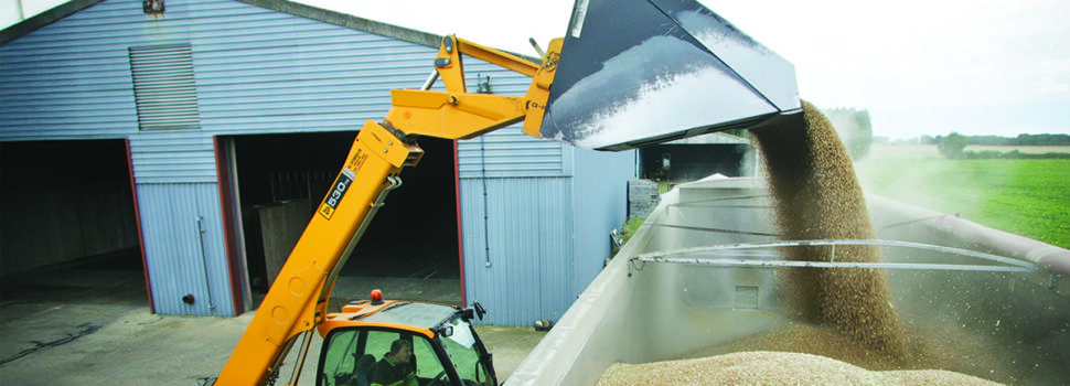 Growers sell wheat forward amid market uncertainty