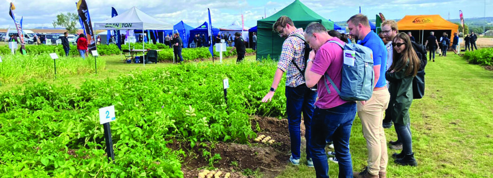 Potato showcase drives innovation and collaboration
