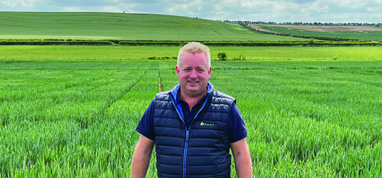 Cereal growers face higher insect threat this autumn