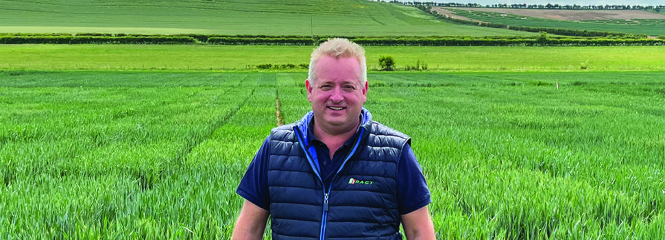 Cereal growers face higher insect threat this autumn