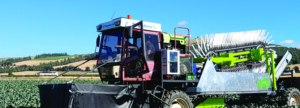 Harvester set to transform broccoli sector