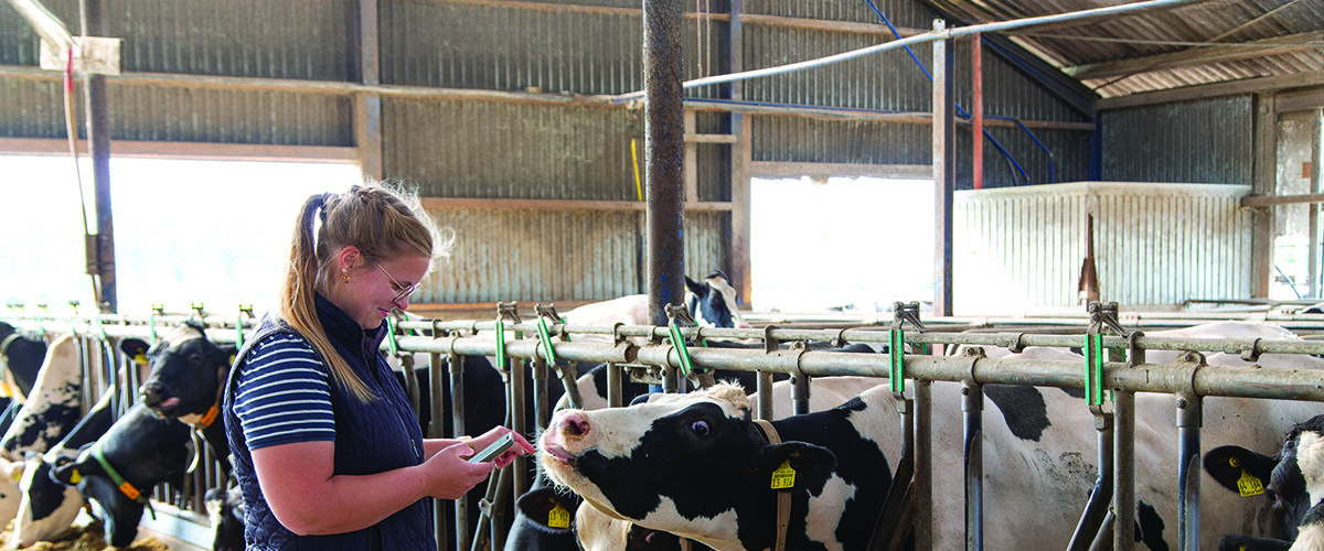 Health system helps tackle labour shortage